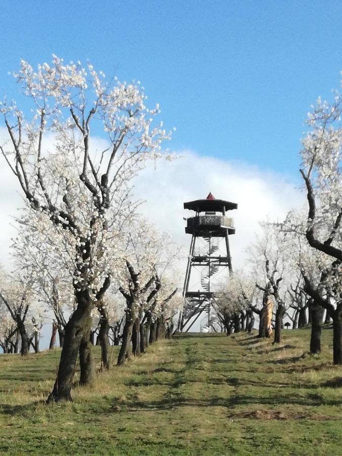 Penzion U Radu Hustopeče Exteriér fotografie